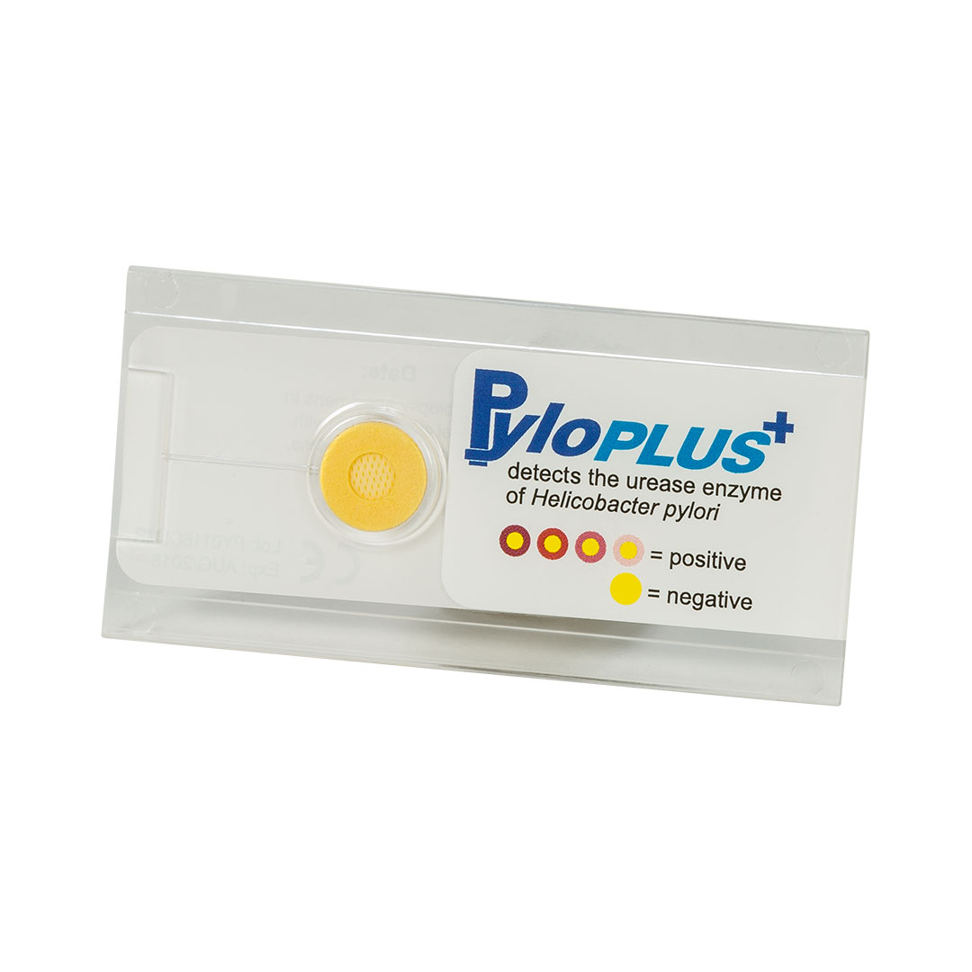 PyloPlus Rapid Urease Test for H.pylori